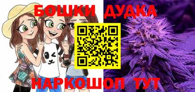 стаф Коммунар