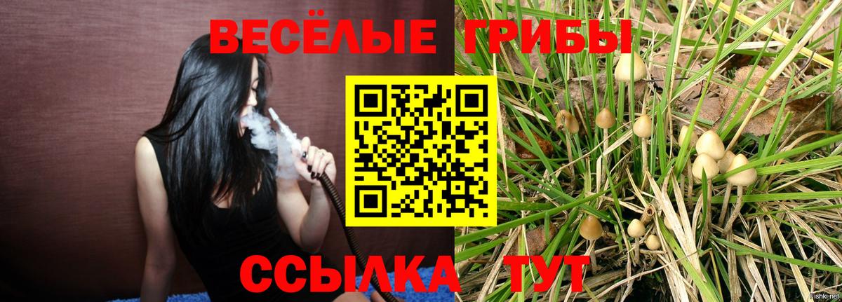 Галлюциногенные грибы MAGIC MUSHROOMS  купить закладку  Псилоцибиновые грибы ЛСД  Кувандык  Вход с VPN 